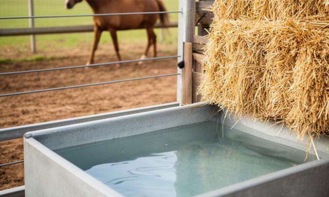 Water trough and hay arranged beside a horse paddock in the Riverina