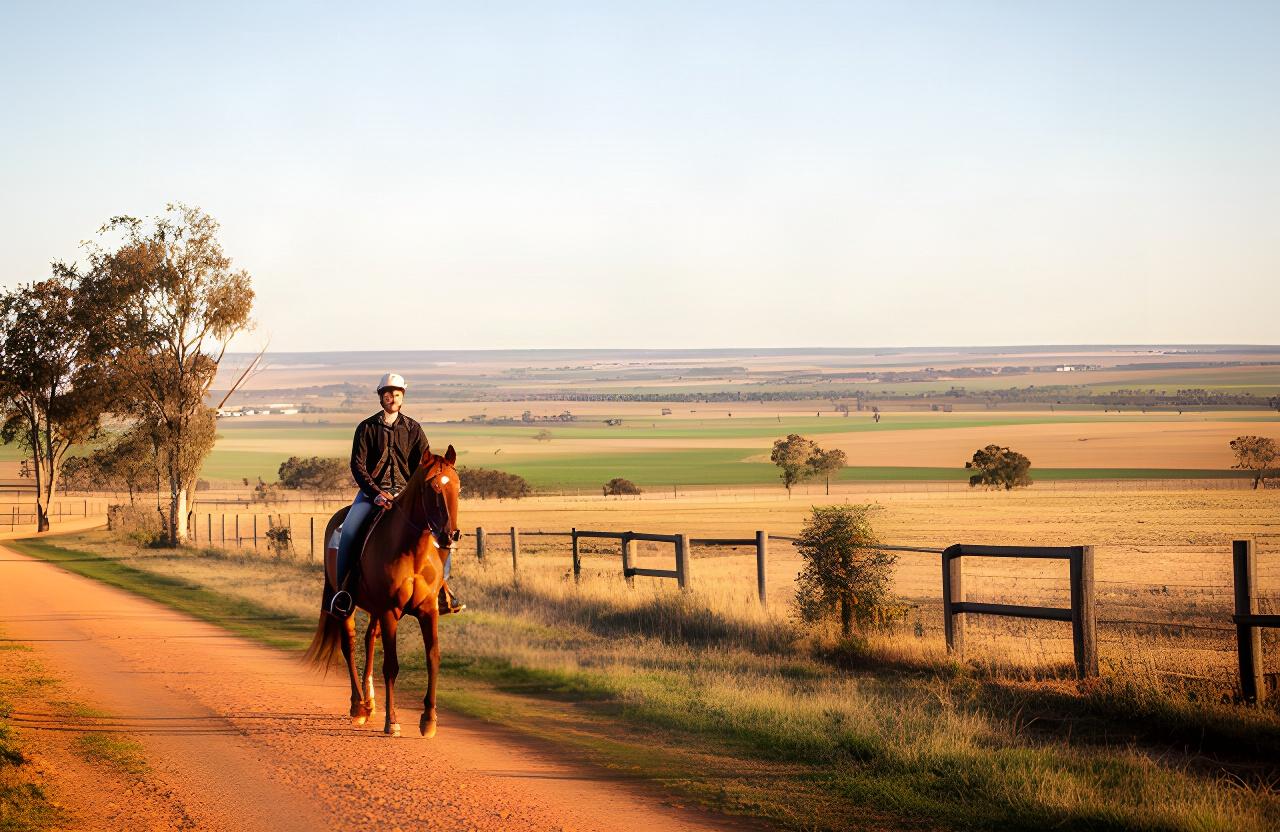 Horse and rider beside a country track at a working property near Leeton, with open Riverina farmland beyond