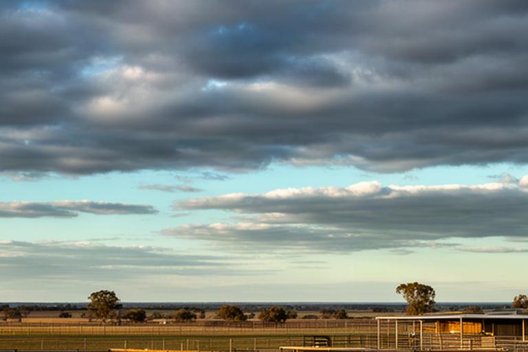Changing Riverina skies over a paddock and horse yards, showing the open conditions around Leeton